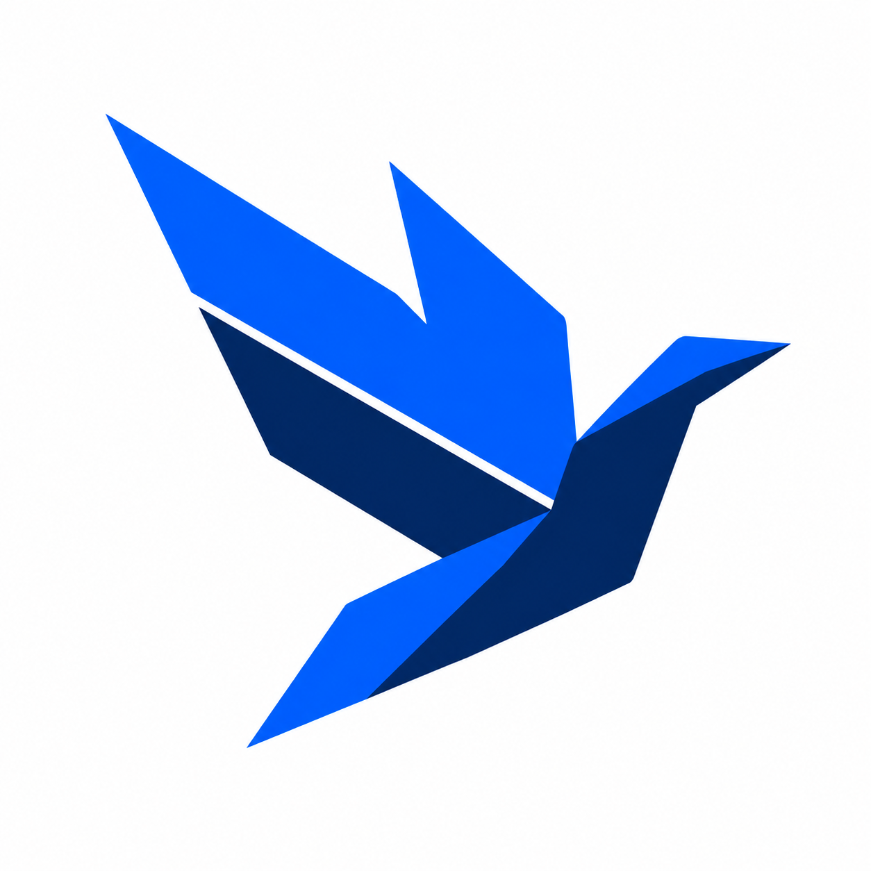 First Earnings Project origami bird